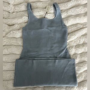 Aritzia Babaton Sculpt Knit dress